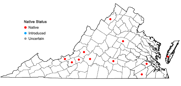 Locations ofNotothylas orbicularis (Schwein.) Sull. in Virginia