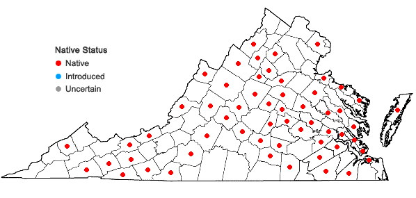 Locations ofNowellia curvifolia (Dicks.) Mitt. in Virginia