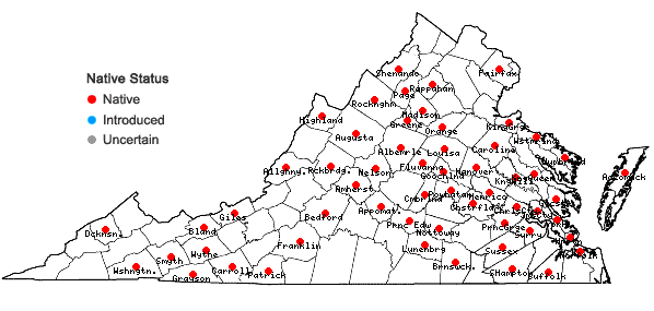 Locations ofNowellia curvifolia (Dicks.) Mitt. in Virginia