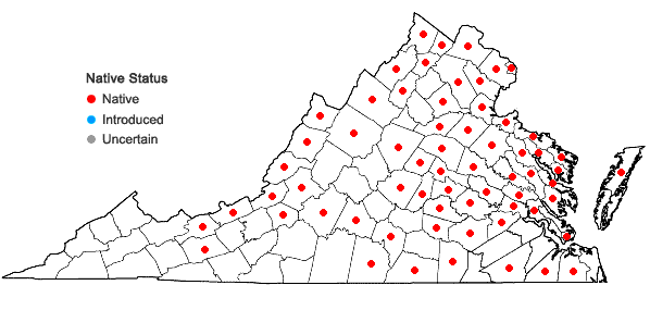 Locations ofNuphar advena (Ait.) Ait.f. in Virginia