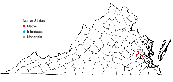 Locations ofNuphar sagittifolia (Walter) Pursh in Virginia