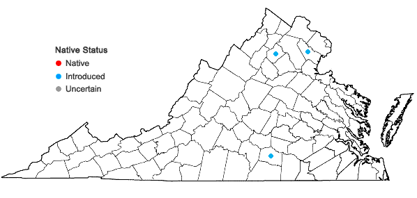 Locations ofNymphoides peltata (Gmelin) Kuntze in Virginia