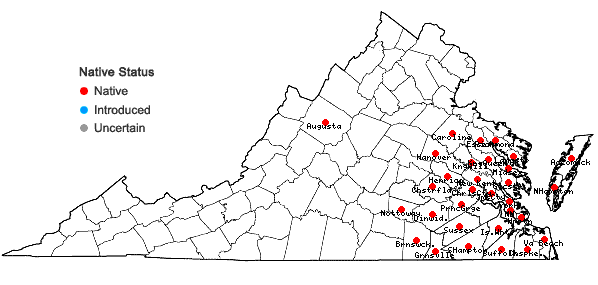 Locations ofNyssa biflora Walt. in Virginia