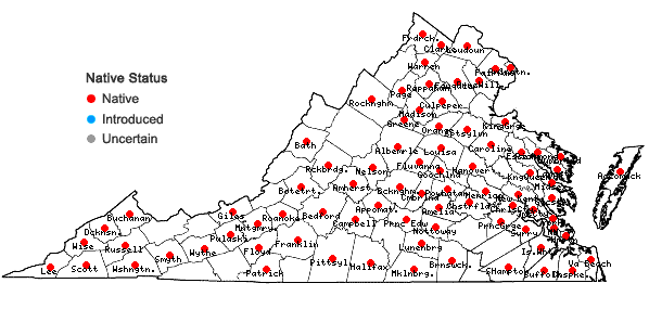 Locations ofObolaria virginica L. in Virginia