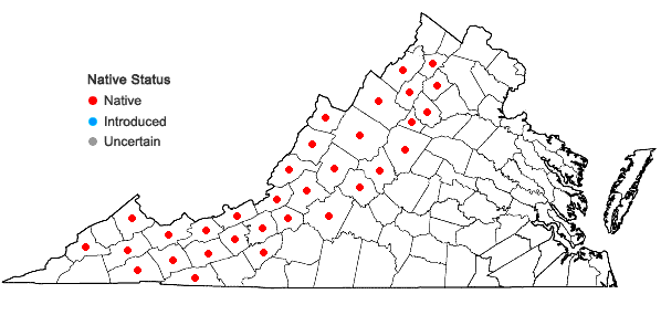 Locations ofOclemena acuminata (Michx.) Greene in Virginia