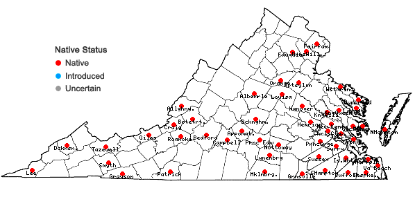 Locations ofOdontoschisma sphagni (Dicks.) Dumort. in Virginia