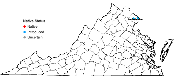 Locations ofOenanthe javanica (Blume) DC in Virginia