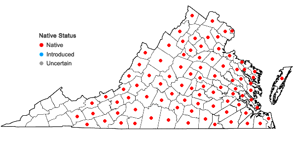 Locations ofOenothera fruticosa L. ssp. fruticosa in Virginia