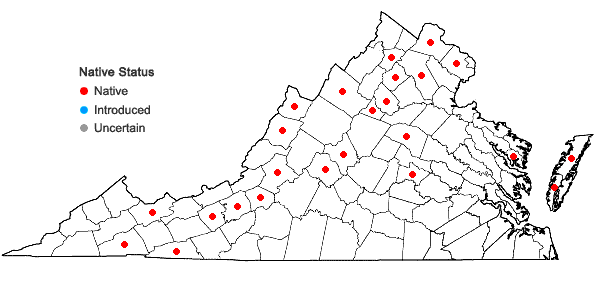 Locations ofOenothera parviflora L. in Virginia