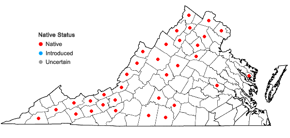 Locations ofOenothera perennis L. in Virginia