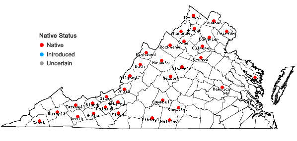 Locations ofOenothera perennis L. in Virginia