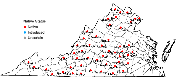 Locations ofOenothera tetragona Roth in Virginia