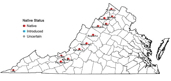 Locations ofOphioglossum engelmannii Prantl in Virginia