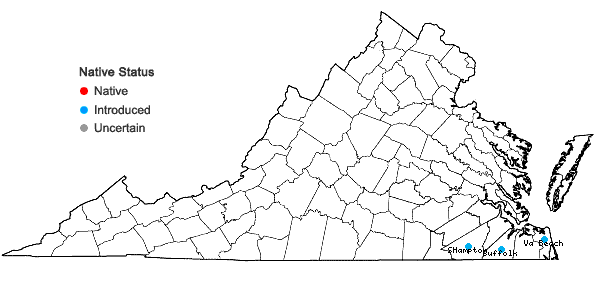 Locations ofOphioglossum petiolatum Hook. in Virginia