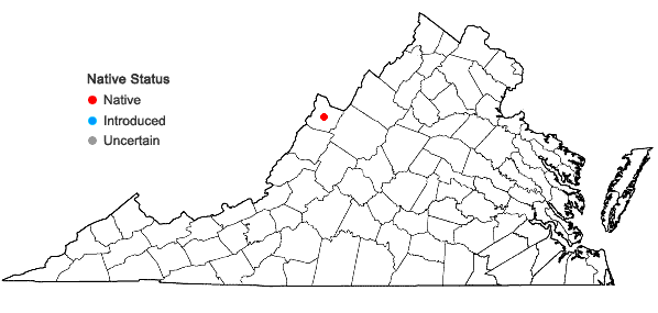 Locations ofOphioglossum pusillum Raf. in Virginia
