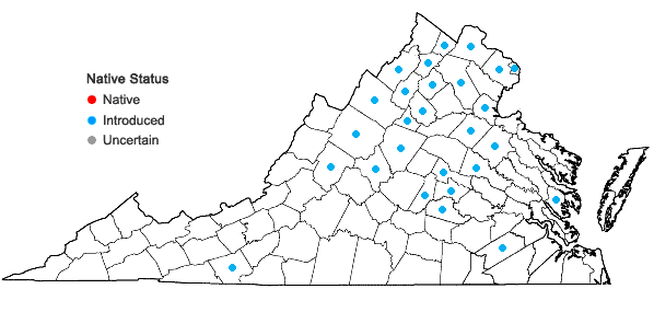 Locations ofOplismenus undulatifolius (Ard.) P. Beauv. in Virginia