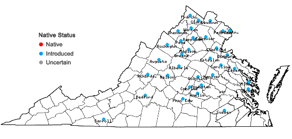Locations ofOplismenus undulatifolius (Ard.) P. Beauv. in Virginia