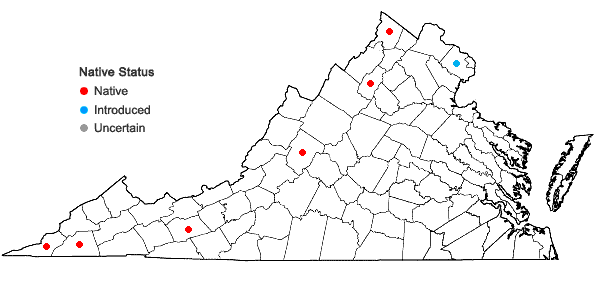 Locations ofOpuntia cespitosa Raf. in Virginia