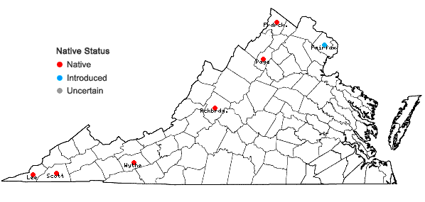 Locations ofOpuntia cespitosa Raf. in Virginia