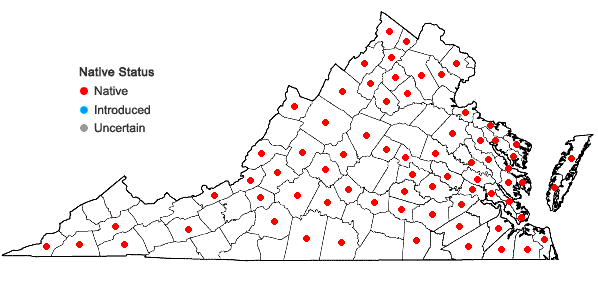 Locations ofOpuntia humifusa complex in Virginia