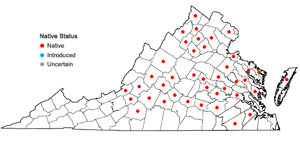 Locations ofOpuntia humifusa (Raf.) Raf. in Virginia