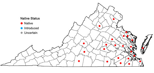 Locations ofOpuntia mesacantha Raf. ssp. mesacantha in Virginia