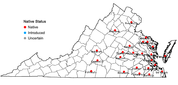 Locations ofOpuntia mesacantha Raf. ssp. mesacantha in Virginia