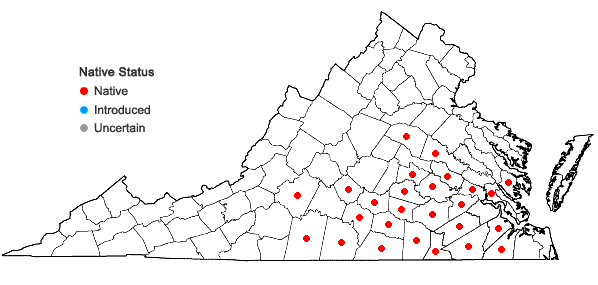 Locations ofOrbexilum pedunculatum (P. Mill.) Rydb. var. psoralioides (Walt.) Isely in Virginia
