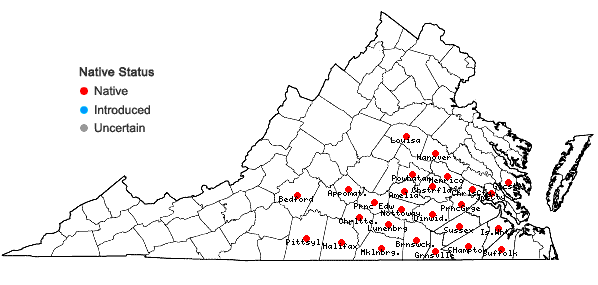 Locations ofOrbexilum pedunculatum (P. Mill.) Rydb. var. psoralioides (Walt.) Isely in Virginia