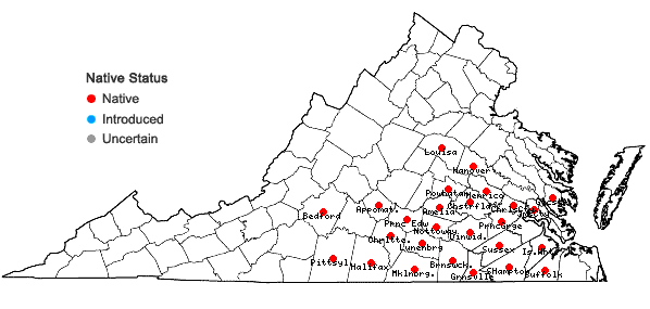 Locations ofOrbexilum psoralioides (Walter) Vincent in Virginia