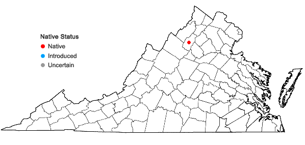 Locations ofOreojuncus trifidus (L.) Záveská Drábková & Kirschner in Virginia