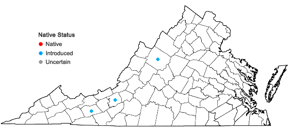 Locations ofOriganum vulgare L. in Virginia