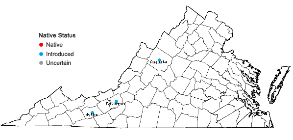 Locations ofOriganum vulgare L. in Virginia
