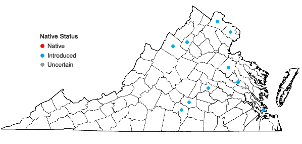 Locations ofOrnithogalum nutans L. in Virginia