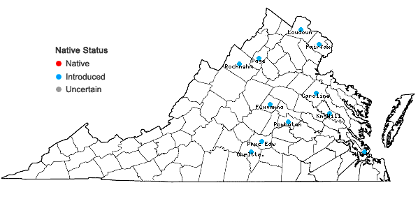 Locations ofOrnithogalum nutans L. in Virginia