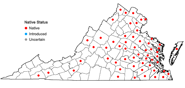 Locations ofOrontium aquaticum L. in Virginia