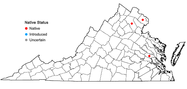 Locations ofOrthilia secunda (L.) House in Virginia