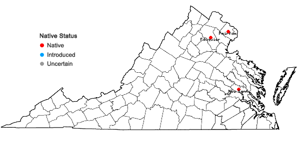 Locations ofOrthilia secunda (L.) House in Virginia