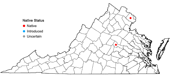 Locations ofOrthotrichum anomalum Hedw. in Virginia