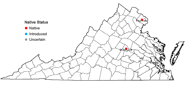 Locations ofOrthotrichum anomalum Hedw. in Virginia