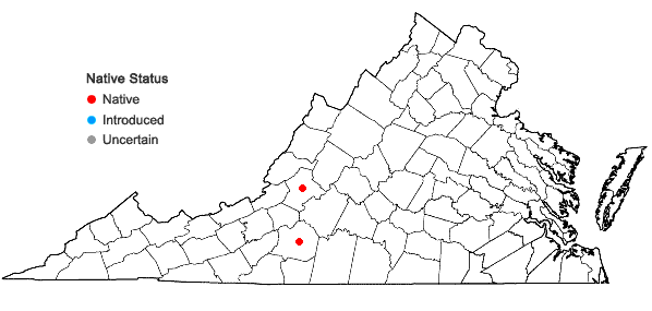 Locations ofOrthotrichum keeverae H.A. Crum & L.E. Anderson in Virginia