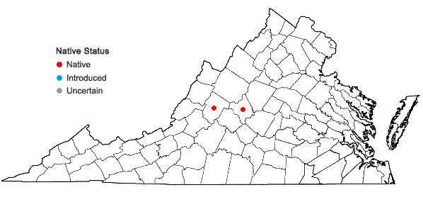 Locations ofOrthotrichum lescurii Austin in Virginia