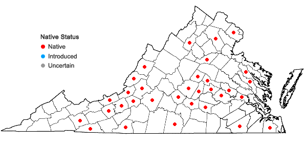 Locations ofOrthotrichum ohioense Sullivant & Lesquereux in Virginia