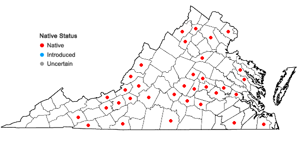 Locations ofOrthotrichum ohioense Sullivant & Lesquereux in Virginia