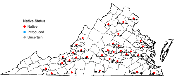 Locations ofOrthotrichum ohioense Sullivant & Lesquereux in Virginia
