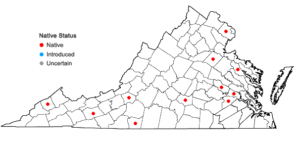 Locations ofOrthotrichum pusillum Mitten in Virginia