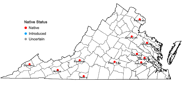 Locations ofOrthotrichum pusillum Mitten in Virginia