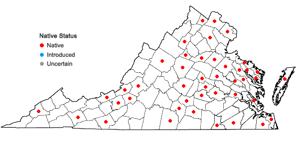 Locations ofOrthotrichum stellatum Bridel in Virginia