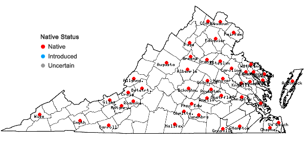 Locations ofOrthotrichum stellatum Bridel in Virginia