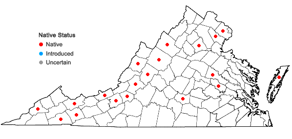 Locations ofOrthotrichum strangulatum P. Beauv. in Virginia